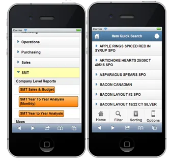 Mobile ERP access